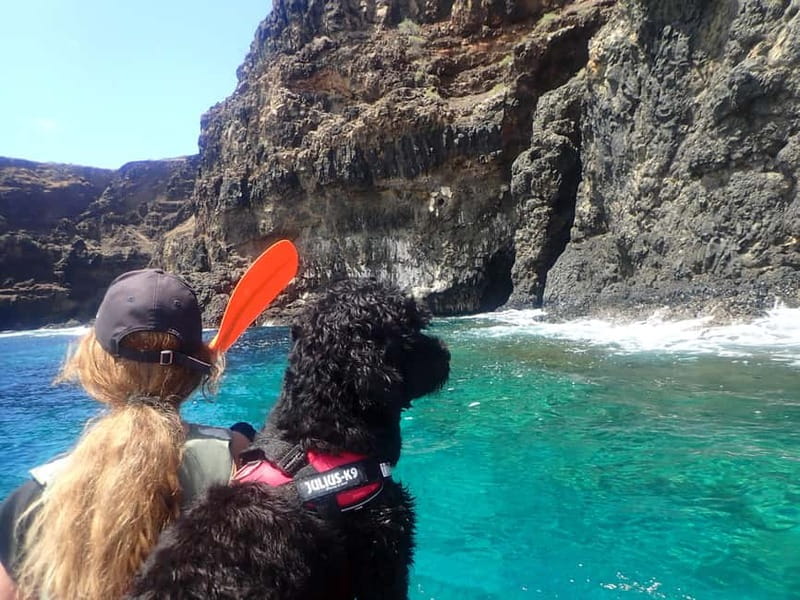 Calheta Kayak Tour - Who should book this kayak tour?