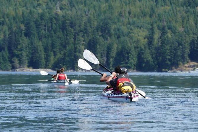 Campbell River: Kayaking and Whale Watching Tour - Why this Campbell River tour works so well
