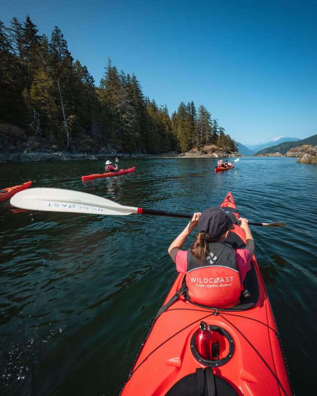 Campbell River: Kayaking and Whale Watching Tour - The boat ride aboard Wild 1