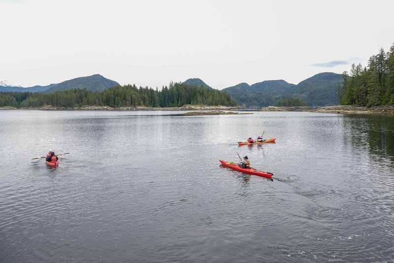 Campbell River: Kayaking and Whale Watching Tour - Who should book this full-day adventure?
