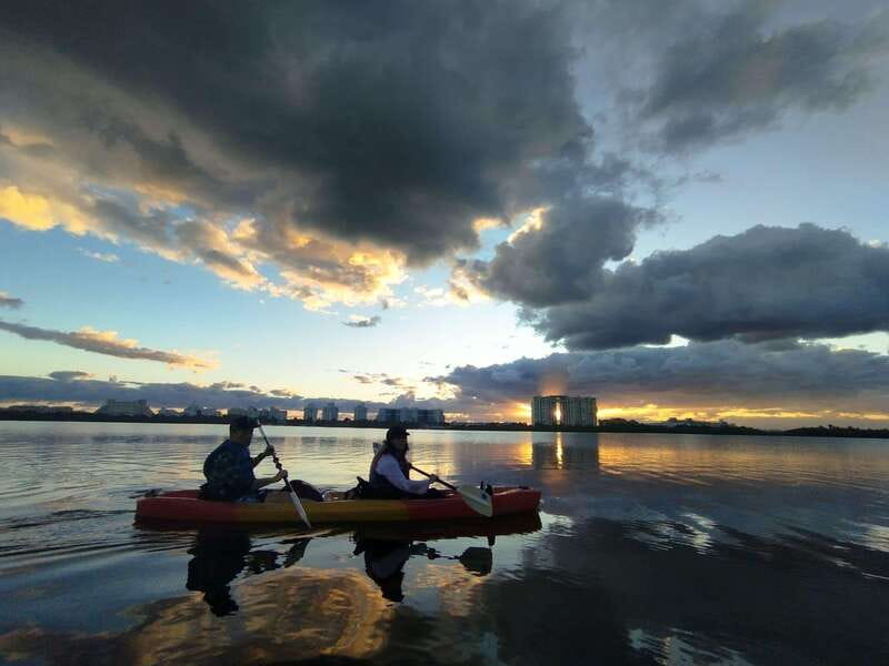 Cancun: Kayaking Tour in Nichupte Lagoon - Wildlife watching without a guarantee