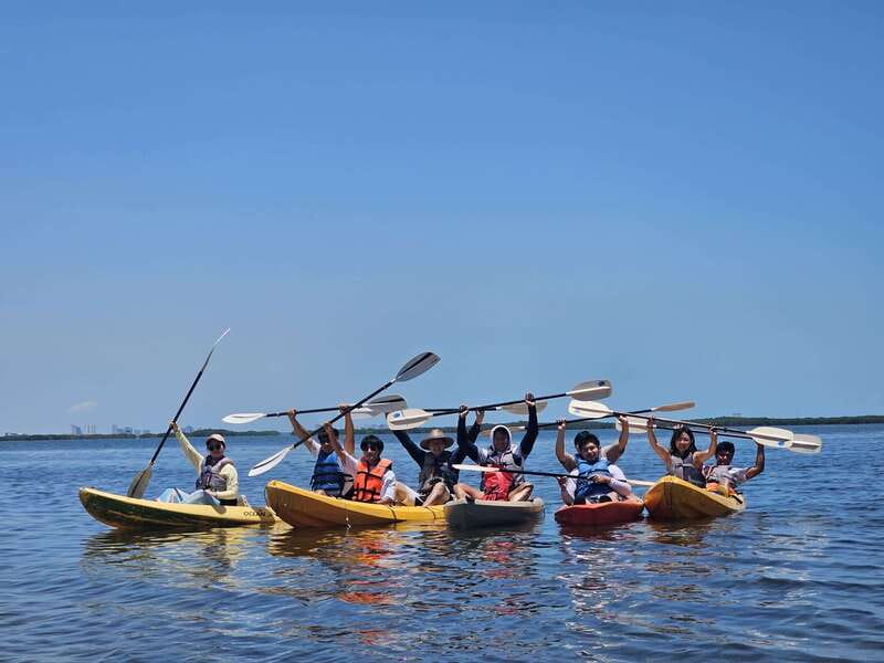 Cancun: Kayaking Tour in Nichupte Lagoon - What the $45 includes