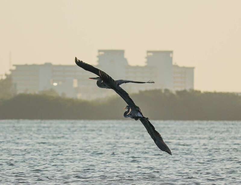 Cancun: Morning Kayak Adventure - A 15-Minute Break and Photo Stop