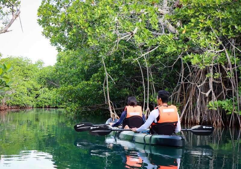 Cancun: Morning Kayak Adventure - What the $47 Price Covers