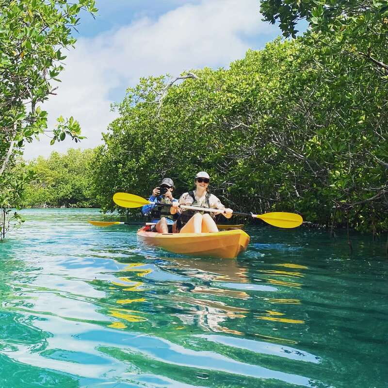 Cancún: Morning or Sunset Kayak Adventure in Nichupte Lagoon - The final 30 minutes back through the lagoon