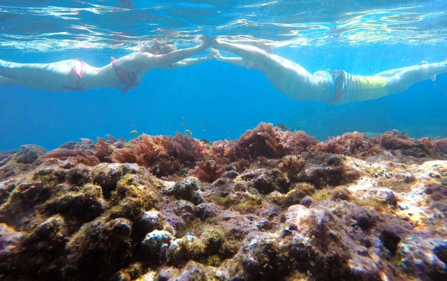 Caniço, Madeira: Marine Reserve Kayak & Snorkelling Tour - Key points to know before you book