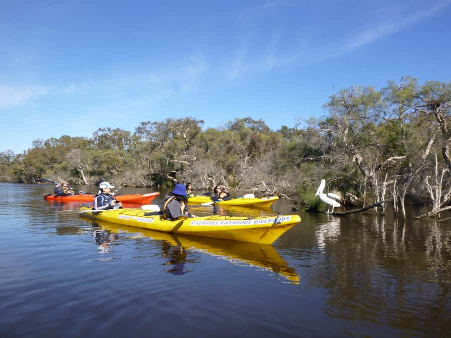 Canning River Half-Day Kayak Wildlife Tour - Key points to know before you book