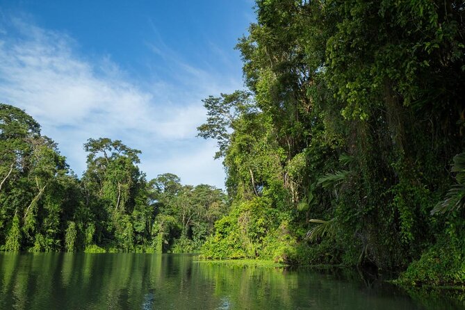 Canoe tour dentro del Parque - Key points before you book