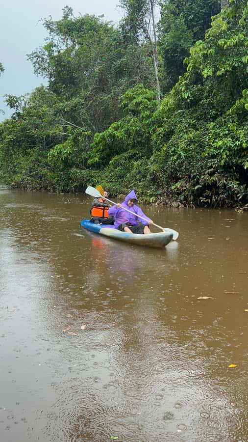 Canopy Tower, Zipline, Kayak, and Monkey Island … - Lunch, hammocks, and the day’s long pause