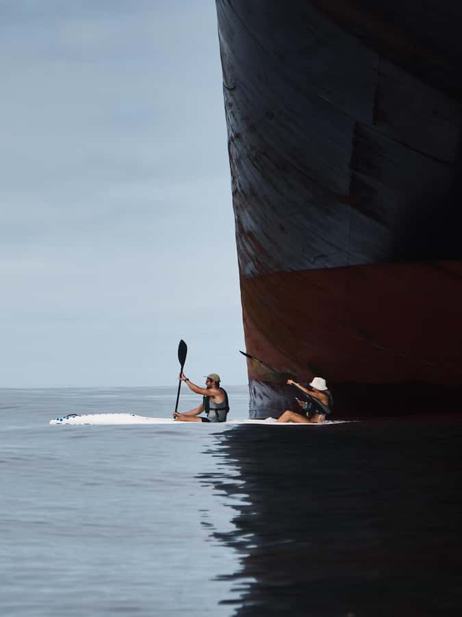 Cape Town: Dolphin & Ocean Wildlife Kayaking Adventure ⚓️ - Practical tips for a better morning