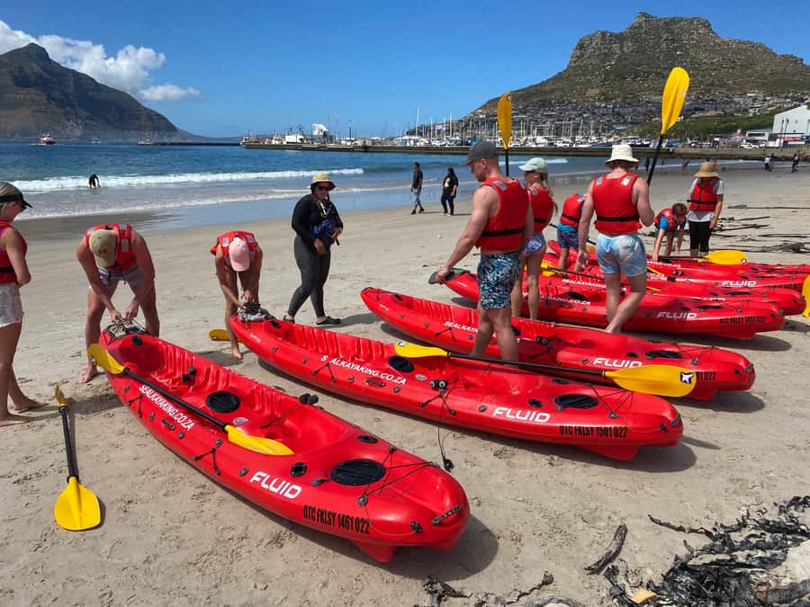 Cape Town: Guided Kayak Tour - Starting near Hout Bay’s main road
