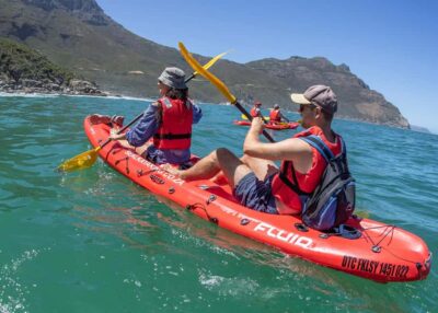 Cape Town: Guided Kayak Tour