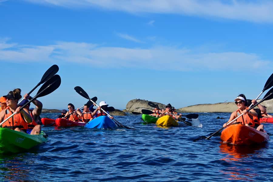 Cape Town: Guided Kayak Tour of Clifton Beaches & The Coast - Meeting at the orange gazebo on Clifton 4th Beach