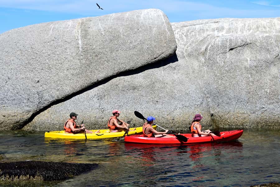 Cape Town: Guided Kayak Tour of Clifton Beaches & The Coast - What the guide adds to the experience