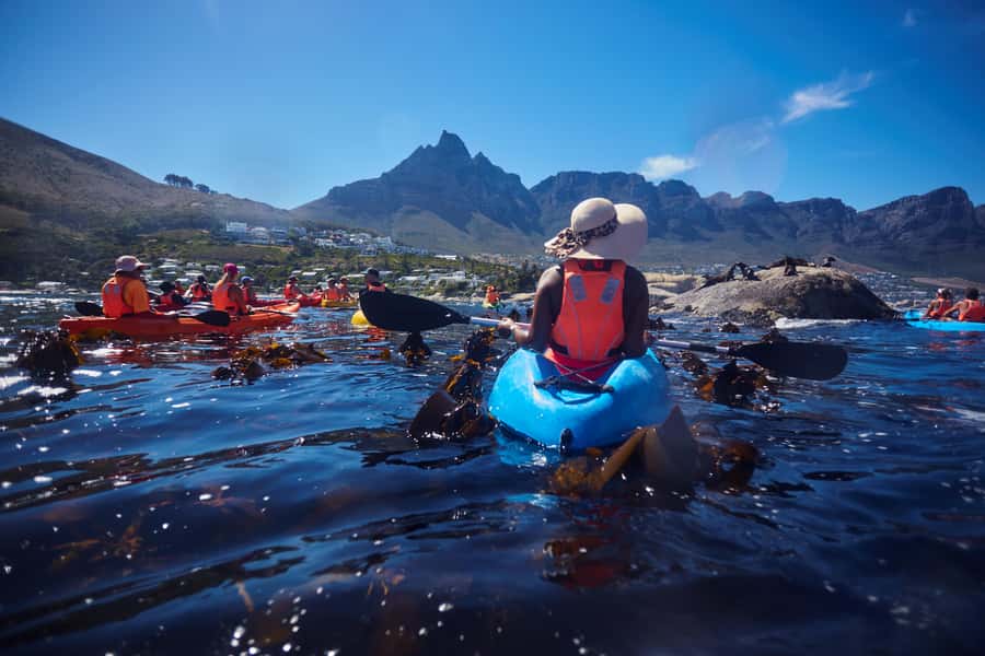 Cape Town: Guided Kayak Tour of Clifton Beaches & The Coast - Is $49 a fair price for 90 minutes?