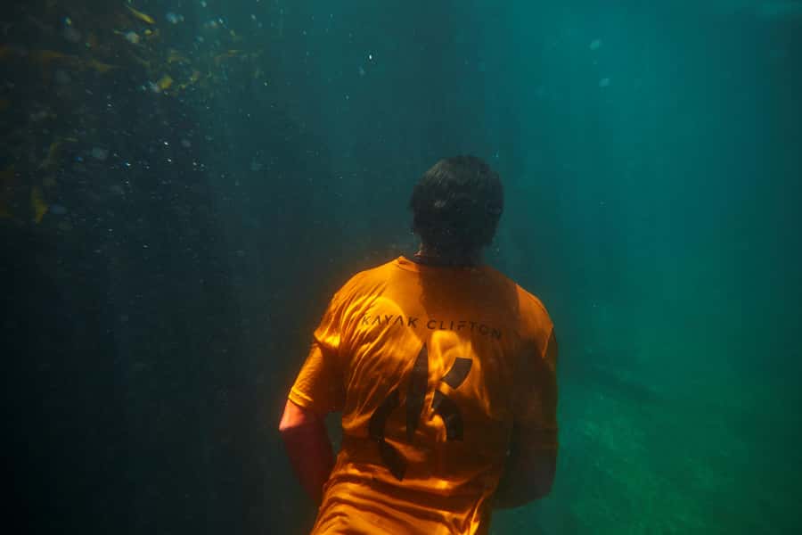 Cape Town: Guided Kayak Tour of Clifton Beaches & The Coast - Choosing the right day and the right person