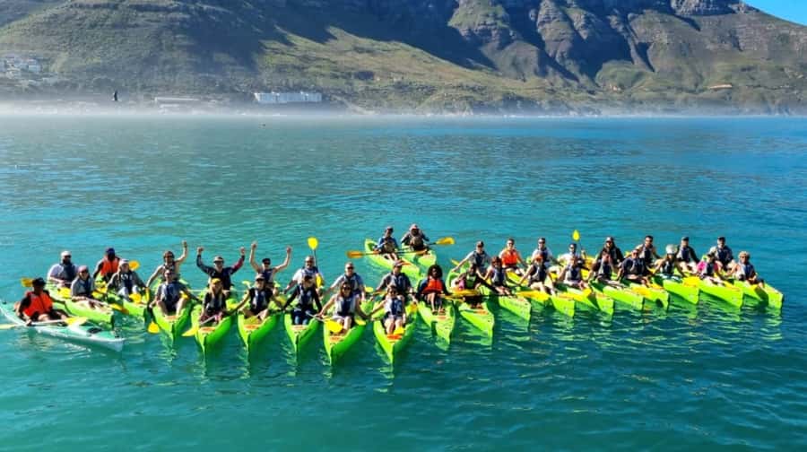 Cape Town: Guided Kayaking in Hout Bay - Cape fur seals, dolphins, penguins, and sunfish