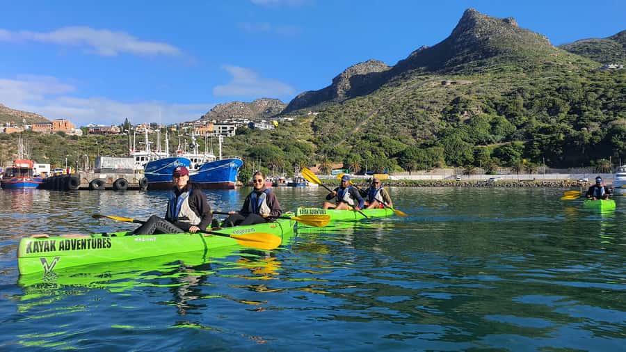 Cape Town: Guided Kayaking in Hout Bay - My call: book it if you want the bay, not just the dolphins