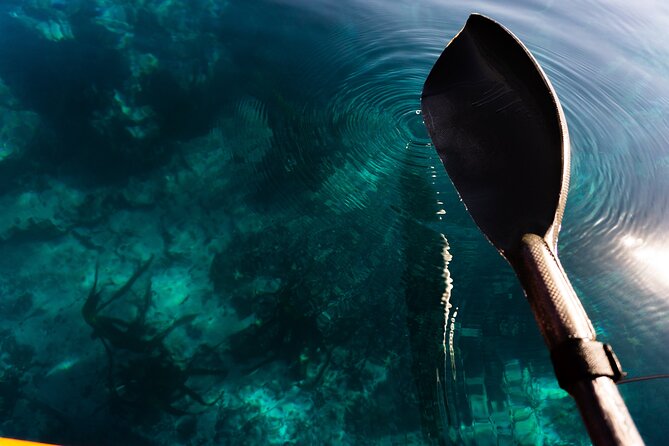 Cape Town Kayak Adventure in Table Mountain Marine Reserve - Your first paddle in a tandem kayak