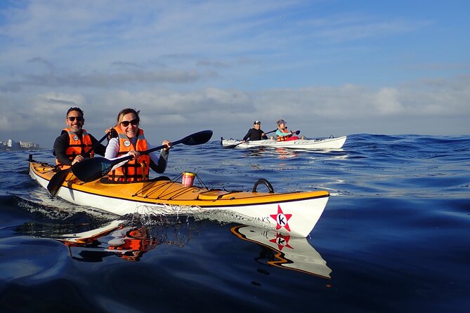 Cape Town Kayak Adventure in Table Mountain Marine Reserve - Choosing between Clifton and Granger Bay