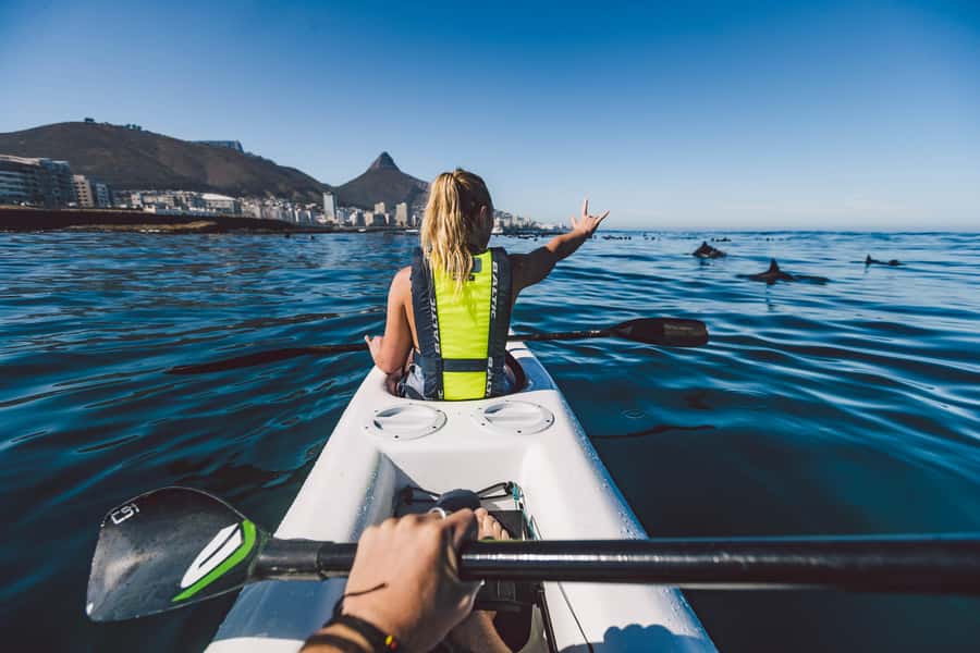 Cape Town: Marine Life Kayak Tour From the V&A Waterfront - The mountain views and the local shipwreck