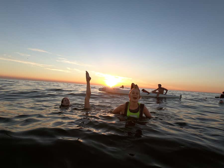 Cape Town: Marine Life Kayak Tour From the V&A Waterfront - Guides, safety, and the beginner question