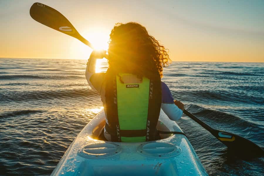Cape Town: Marine Life Kayak Tour From the V&A Waterfront - Is $37 good value?