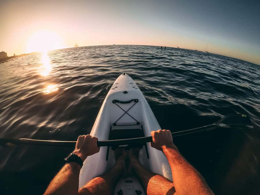 Cape Town: Marine Life Kayak Tour From the V&A Waterfront - Who should book this Cape Town kayak tour?
