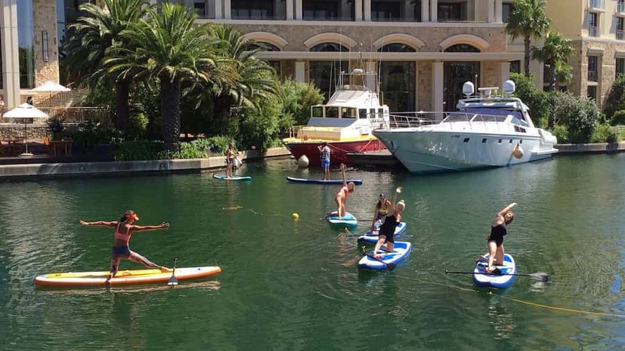 Cape Town: Stand-up Paddleboard Experience - Key points at a glance