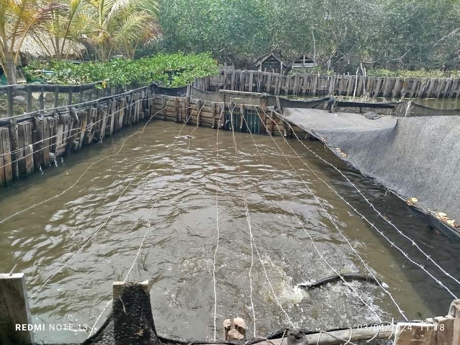 Cartagena: FISHERMEN'S ISLAND IN THE MANGROVES by canoe - Who will enjoy this canoe trip most