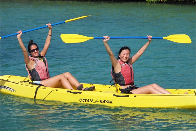 Cas Cay - Kayak Hike and Snorkel Adventure - Snorkeling in a mangrove nursery