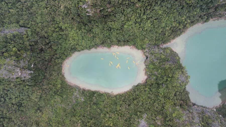 Cat Ba: Lan Ha and Ha Long Bay Boat Tour with Kayaking, Cave - The guiding team and local stories