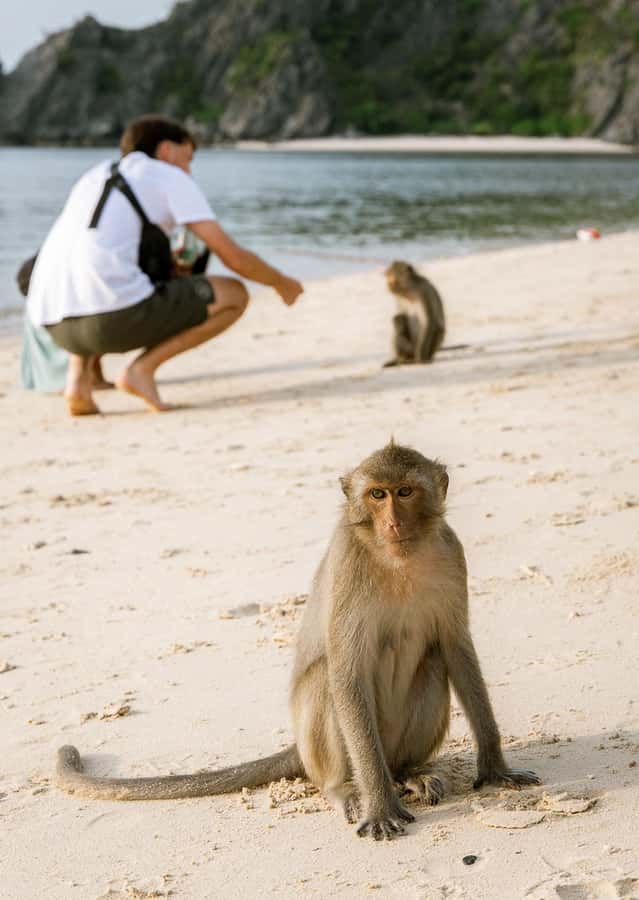 Cat Ba: Lan Ha & Ha Long Bay Kayak & Snorkel Boat Tour - What the $30 price really covers