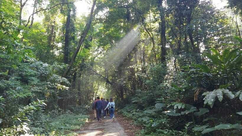 Cat Ba: National Park Day Trip with Cycling and Kayaking - Who should book this experience