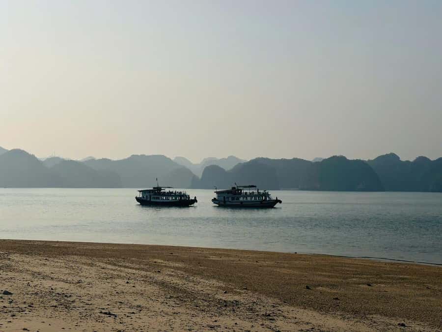 Cat Ba: Night Kayaking with Glowing Plankton - Cai Beo Floating Village from the water