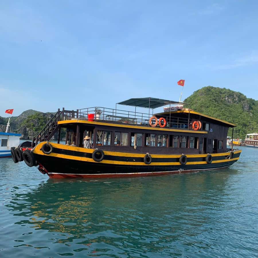 Cat Ba: Night Kayaking with Glowing Plankton - Dinner at a traditional local restaurant