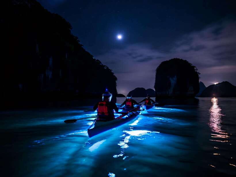 Cat Ba: Sunset and Night kayak with bioluminescent plankton - Key points to know before booking