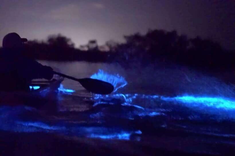 Cat Ba: Sunset and Night kayak with bioluminescent plankton - Returning through Lan Ha Bay after dark