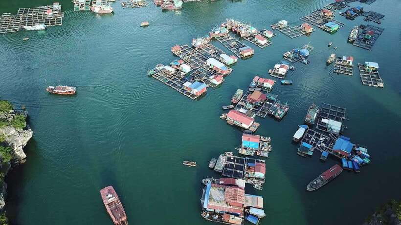 Cat Ba: Sunset on Lan Ha Bay with Sunset Party - Who will enjoy this cruise most