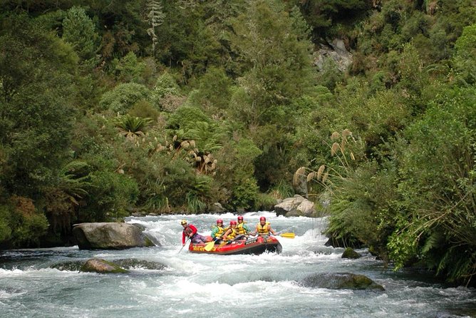 Cathedral Cove Kayak Tour - Who should book this kayak tour?