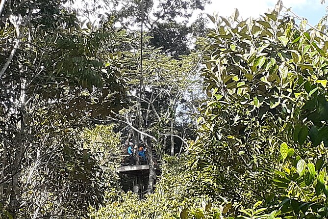 Cave Kayaking or tubing, Ziplines and Altun Ha V.i.V. - Key points to know before booking