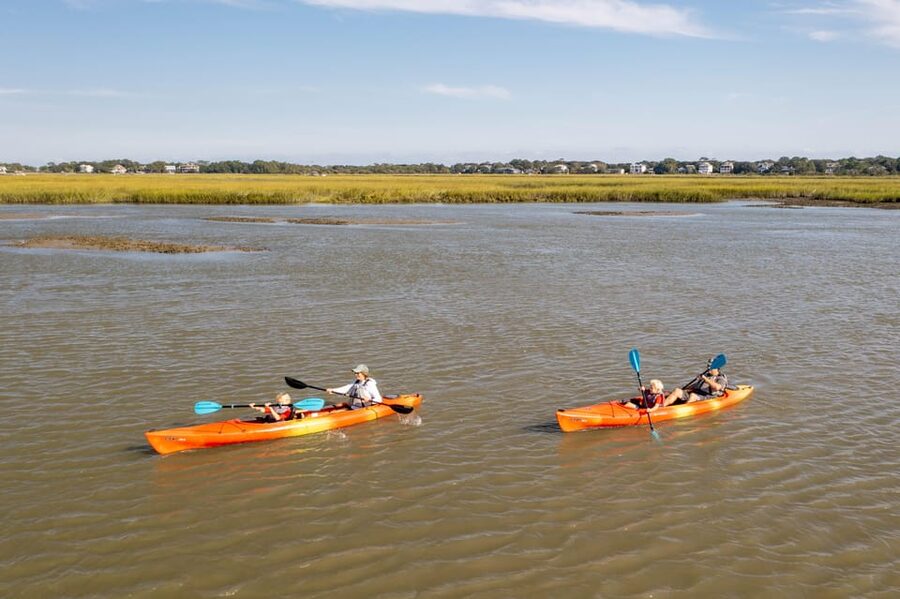 Charleston: Folly Beach Afternoon Kayak Dolphin Safari - Starting at Sea Monkeys Surf And Skate
