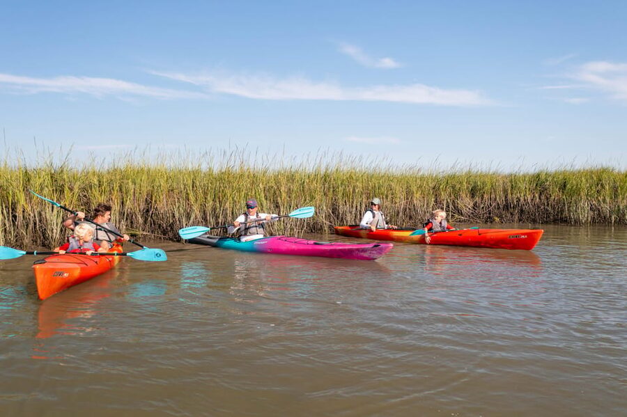 Charleston: Folly Beach Afternoon Kayak Dolphin Safari - Searching for bottlenose dolphins on the Folly River
