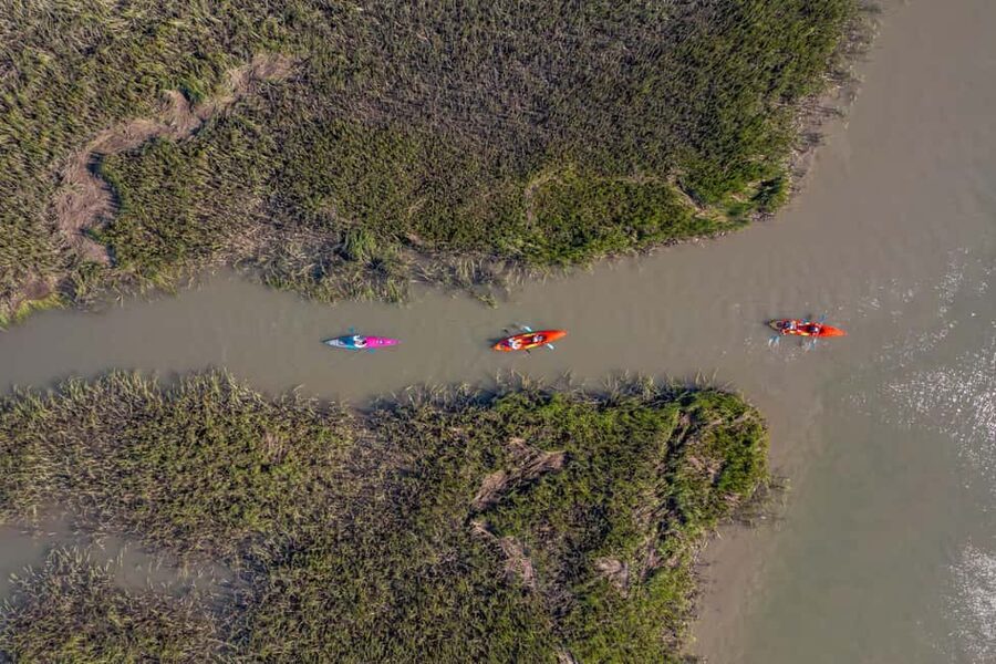 Charleston: Folly Beach Morning Kayak Dolphin Safari - Morning, afternoon, or sunset?