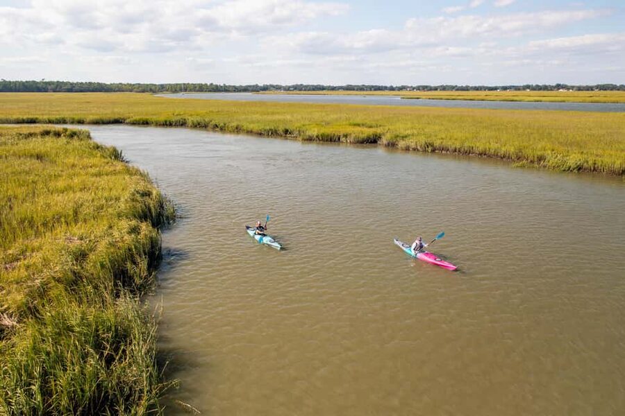 Charleston: Folly Beach Morning Kayak Dolphin Safari - Who will enjoy this most?