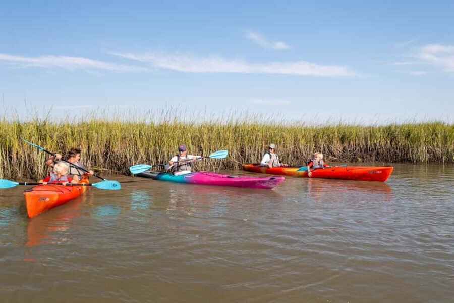 Charleston: Folly Beach Morning Kayak Dolphin Safari - The first lesson makes this friendly for beginners