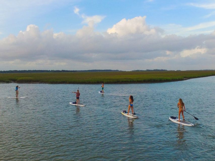 Charleston: Folly Beach Stand Up Paddleboard 2-hour Rental - Standing on the Folly River