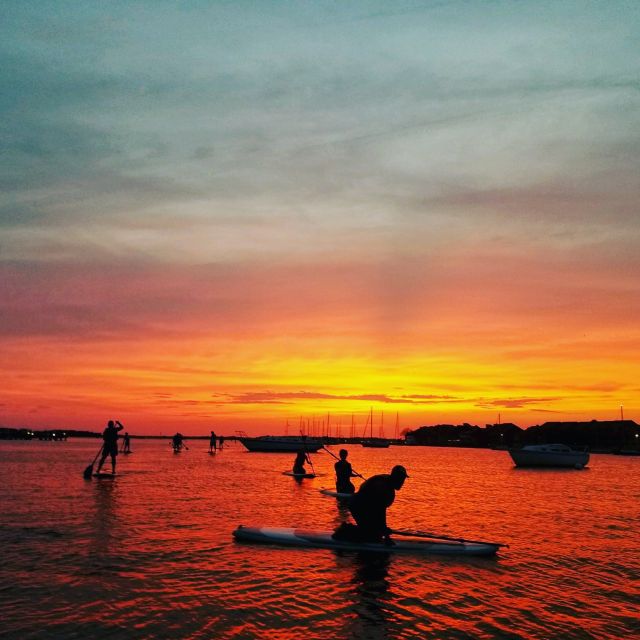 Charleston: Folly Beach Stand Up Paddleboard Dolphin Safari - Starting at 83 Center Street in Folly Beach