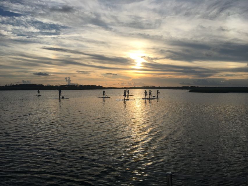 Charleston: Folly Beach Stand Up Paddleboard Dolphin Safari - Equipment, Clothing, and Physical Demands