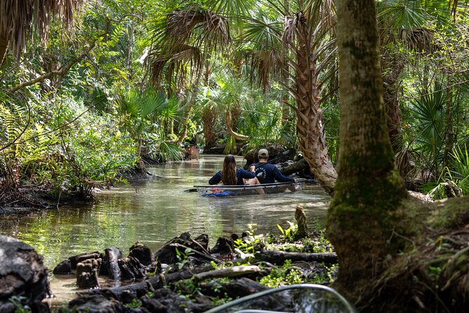Chassahowitzka River Clear Kayak Springs & Manatee Tours - Key points before you book